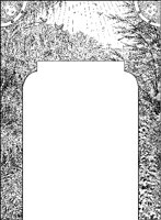 Trees U-Border.tif