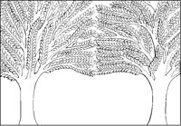 Two Trees Border Wide.tif