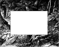 Woods Border.tif