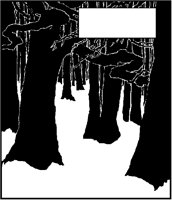 Forest in Winter Cartouche.tif