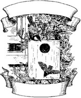 Birds and Nest Scroll.tif