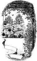 Hanging Nests in Garden Scroll.tif