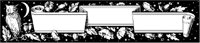 Night Owl Scroll.tif