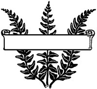 Fern Scroll.tif
