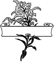 Floral Scroll.tif