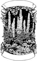 Garden Scroll.tif