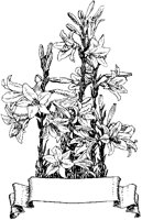 Lilies Scroll.tif