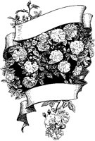 Roses Scrolls.tif