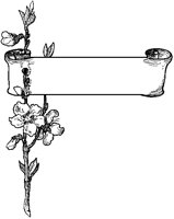 Spring Flower Scroll.tif
