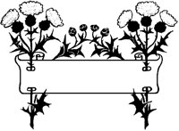 Twin Thistles Scroll.tif