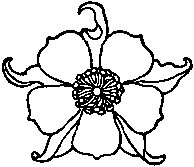 Columbine Flower.tif