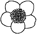Marsh Marigold Flower.tif