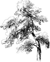 Foliage.tif