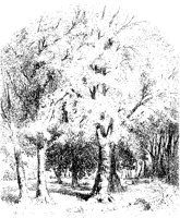 Sylvan Scene.tif