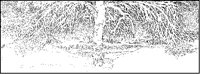 Tree in Snow.tif