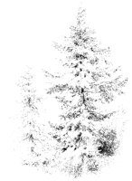 Treetops 1.tif