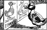 Duck Looking at Poster.tif