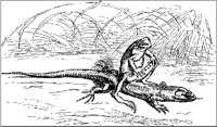 Frog Riding Lizard.tif