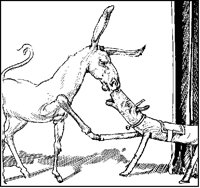 Sawhorse and Donkey 2.tif