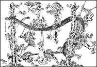Snake and Frogs.tif