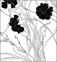 Carnations 1.tif