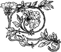 Flower Design 6.tif