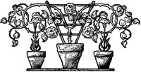 Flowerpots Design.tif