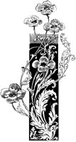 Flowers over Rectangle Design.tif