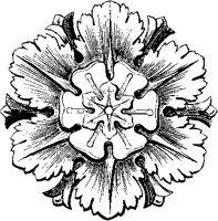 Greek Flower.tif