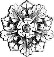 Pentagonal Flower.tif