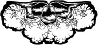 Snowball Blossoms Design.tif