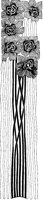 Long-Stemmed Flowers.tif