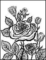 Roses and Leaves.tif