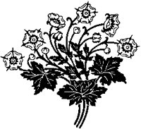 Buttercups Ornament.tif
