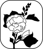 Carnation Design.tif