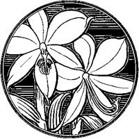 Circular Lilies Design.tif