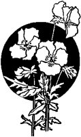 Flowers and Dark Circle.tif