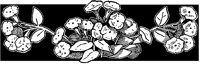 Horizontal Flower Ornament 1.tif