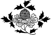 Korean Flower Design 2.tif