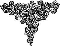 Triangular Flower Ornament.tif