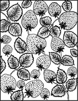 Strawberries Pattern.tif
