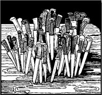 Many Knives Stuck in Table.tif