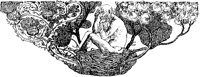 Man in Flower Nest.tif