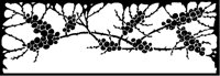 Berry Clusters Design.tif