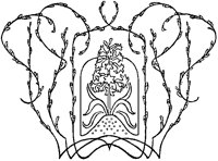 Flowers and Buds Design.tif