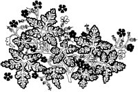 Leaves and Flowers.tif