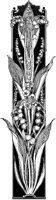 Lily of the Valley Design.tif
