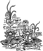 Lotus Pond Corner.tif