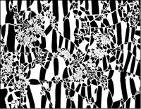 Rectangular Plant Design 1.tif