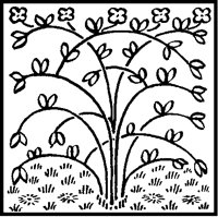 Simple Plant.tif